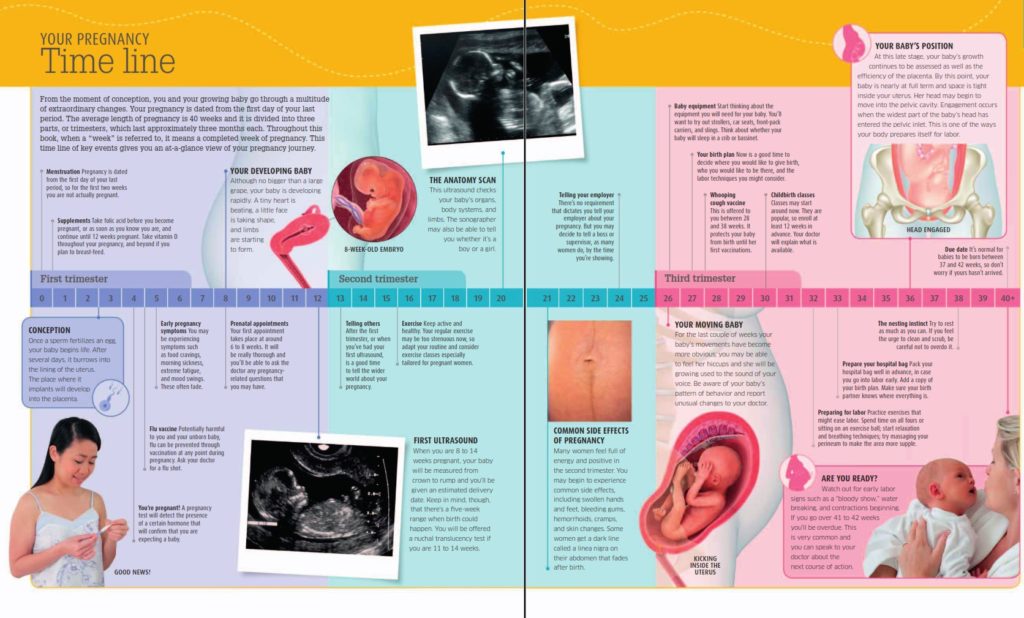 your-pregnancy-timeline-dr-priyanka-tyagi